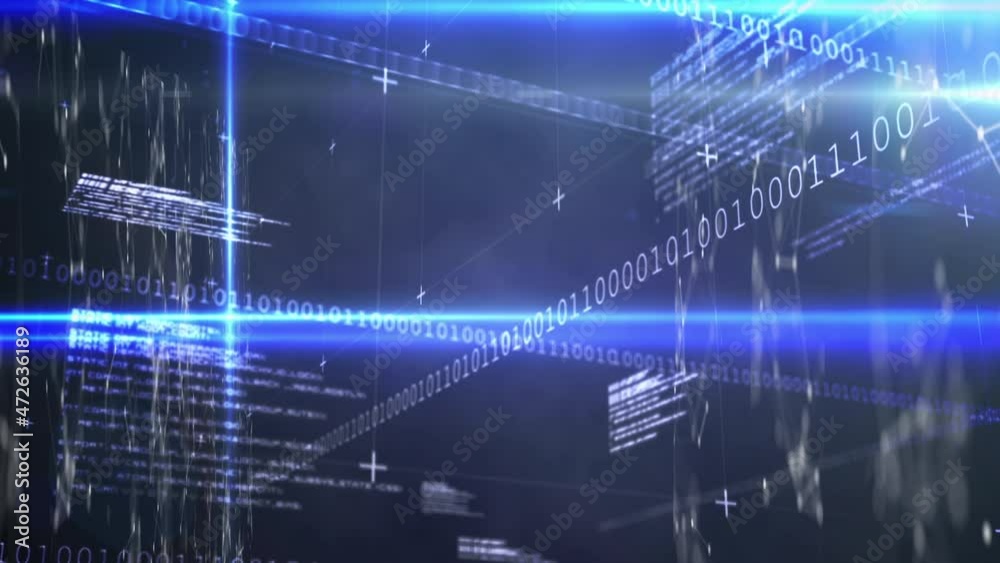 Animation of data processing and networks of connections over binary coding Animation of data processing and networks of connections over binary coding