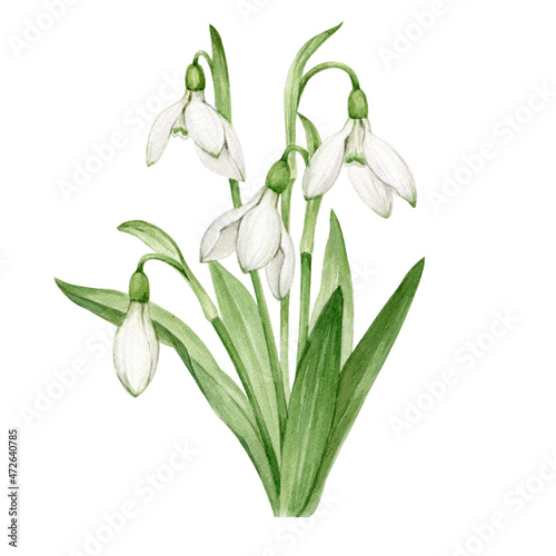 Schilderij op canvas A cute bush of spring first flowers.