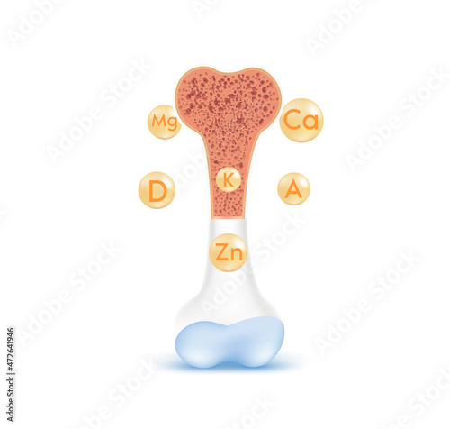 Healthy bone human bone anatomy. Skeleton x ray scan concept. Vitamins and Minerals Calcium, Phosphorus therapy. Medical or healthcare concept. 3D Vector EPS10 illustration.
