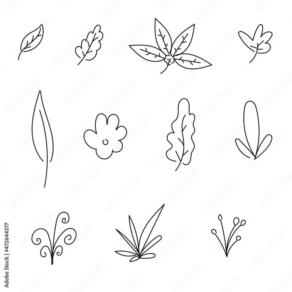  leaf set line art ornament floral vector illustration