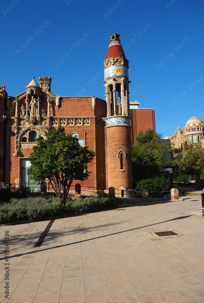 Obraz premium OLYMPUS DIGITAL CAMERA