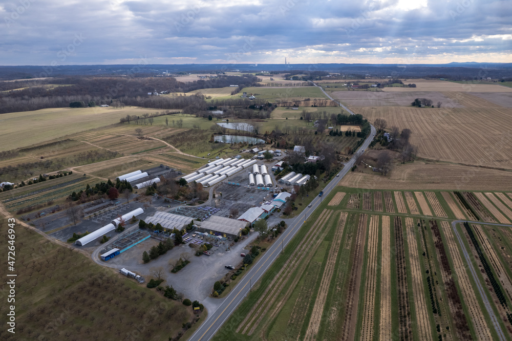 Aerial view of a Christmas tree farm in Maryland
