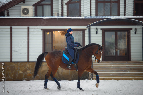 Equestrian country girl riding her bay horse in winter. © sheikoevgeniya