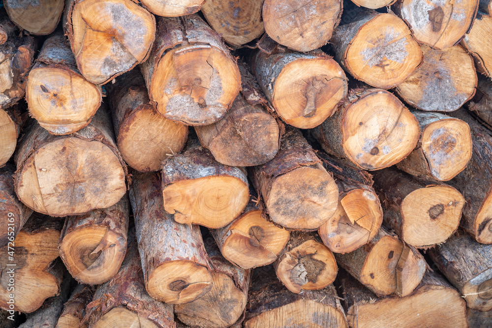 Stack wood tree trunk log stock in forest, woodpile or firewood storage for restaurant or industry. Stack wood tree trunk log stock in forest, woodpile or firewood storage for restaurant or industry.