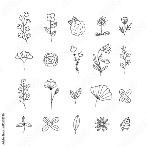 Fototapeta Naklejka Na Ścianę i Meble -  Botanical elements on white background. Outline vector flowers