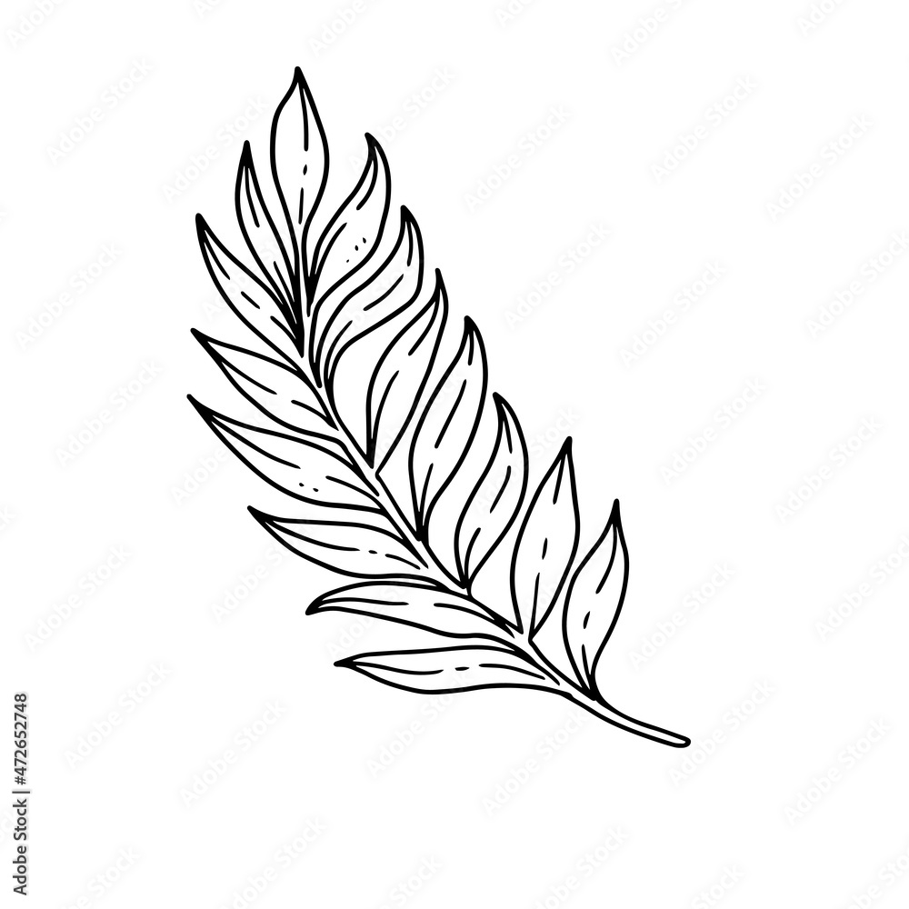 ornamental flower leaves illustration in outline. uncolored element in hand drawn vector for decorating wedding invitations, cards, and any design in floral theme.