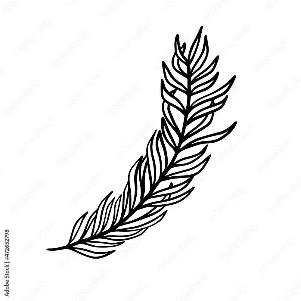 ornamental leaves illustration in outline. uncolored element in hand drawn vector for decorating wedding invitations, cards, and any design in floral theme.