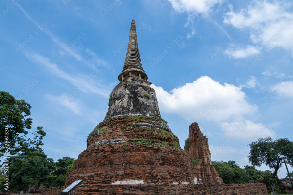 Fototapeta premium Chedi in the old city of Ayutthaya