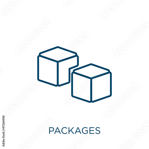 packages icon. Thin linear packages outline icon isolated on white background. Line vector packages sign, symbol for web and mobile.