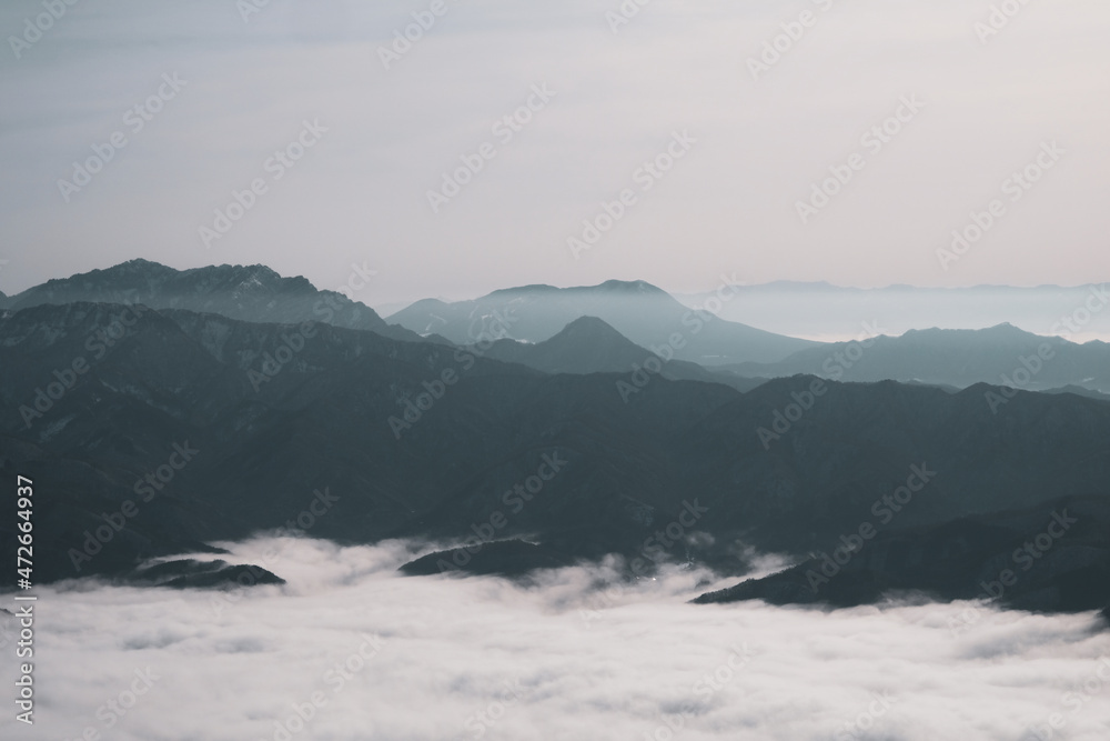 Fototapeta premium 幻想的なシルエット