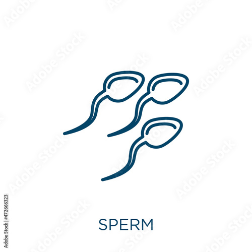 sperm icon. Thin linear sperm outline icon isolated on white background. Line vector sperm sign, symbol for web and mobile.