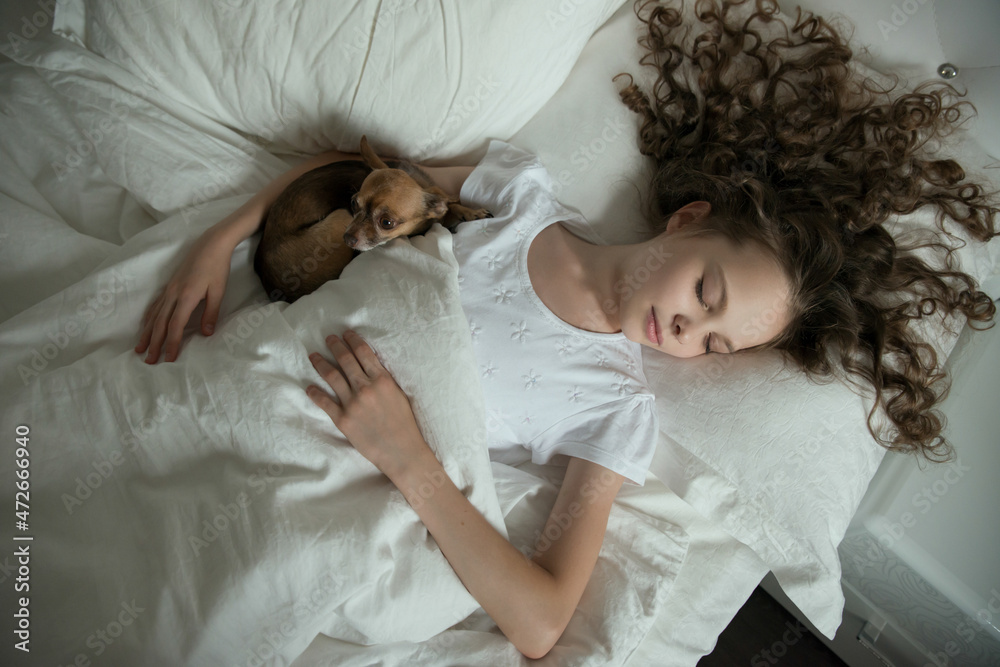 A little girl sleeps in bed with her little dog. Children and dream, healthcare. Pets A little girl sleeps in bed with her little dog. Children and dream, healthcare. Pets