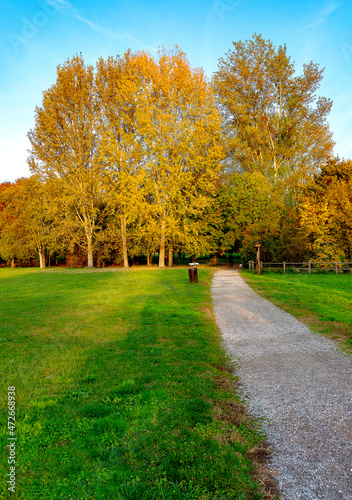 Autunno 6