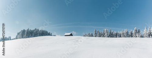 Schneelandschaft mit verschneitem Tannenwald und Bauernhaus