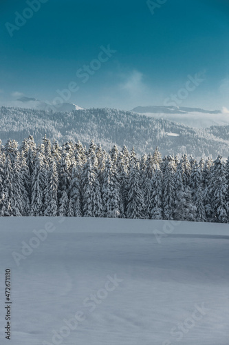 Wunderbare winterliche Märchenlandschaft im Allgäu