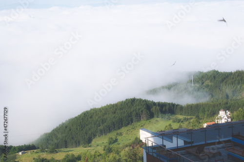 Dramatic morning mist in the mountains of Kopaonik, Serbia, and a bird flight in the clouds