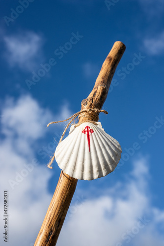 Bastón de peregrino con concha y credencial de peregrinar