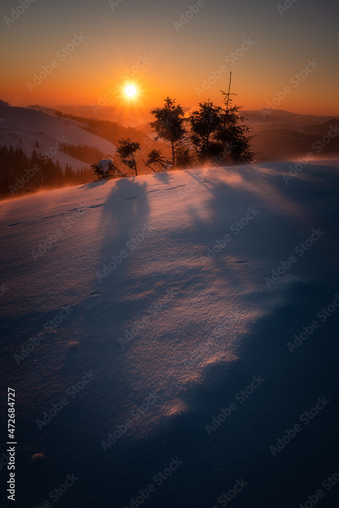 Beautiful winter sunrise in the mountains during a blizzard with some small pine trees on a ridge