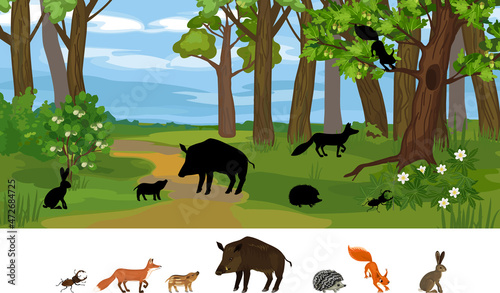 Find the right shade. Educational children matching game with animals living in grove and park. Ecosystem of forest. Diverse inhabitants of grove