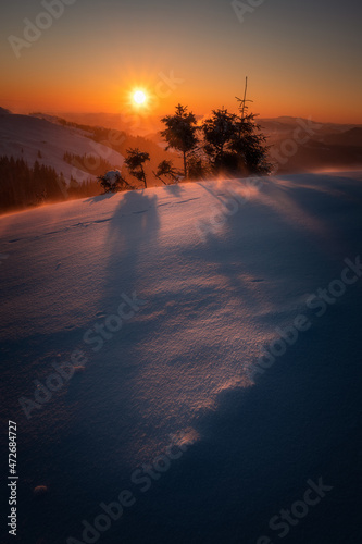 Beautiful winter sunrise in the mountains during a blizzard with some small pine trees on a ridge