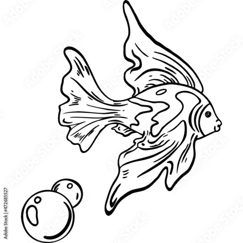 Patterned fish with bubbles sketch vector illustration