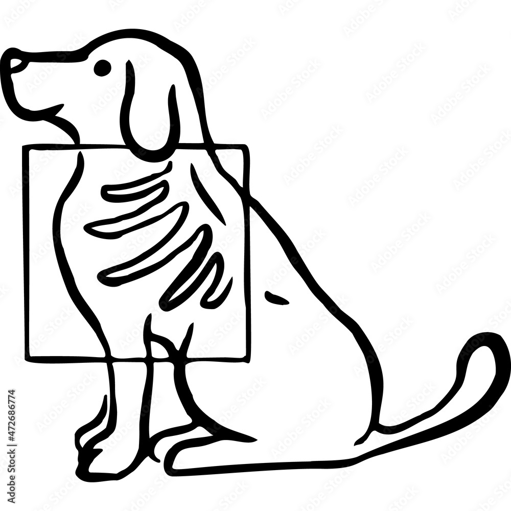 Dog on xray where you can see its chest sketch vector illustration Stock Vector Adobe Stock