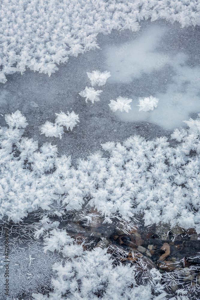 Fototapeta premium Canada, Alberta, Jasper National Park, Hoarfrost at the Sunwapta River