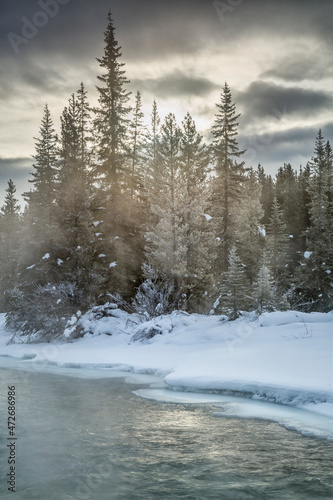 Canada, Alberta, Banff National Park, Sunrise sparkles on the Bow River