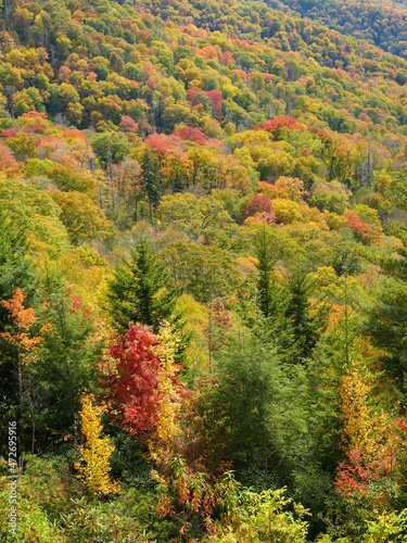 Mountain Hillside in Autumn Sun - Background