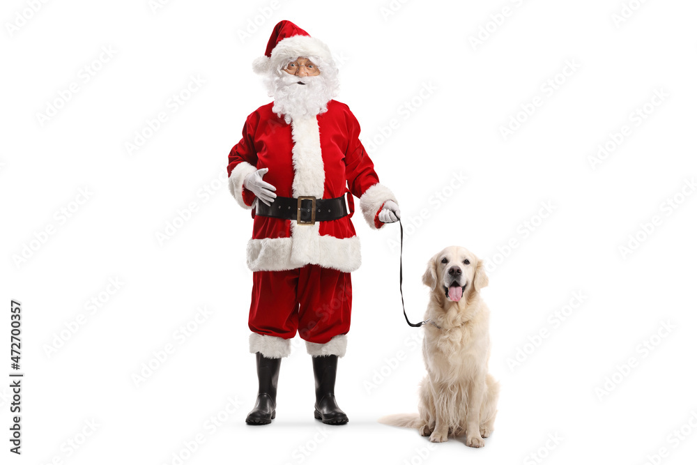 Full length portrait of santa claus standing with a retriever dog
