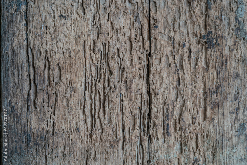 Old textured wood background or surface with copy space, top view Old textured wood background or surface with copy space, top view