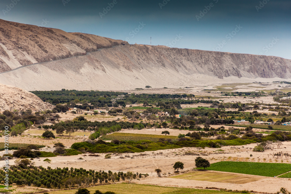 Fototapeta premium Lots of agriculture in the dry landscape in the Ocona river valley. Arequipa Region, Peru