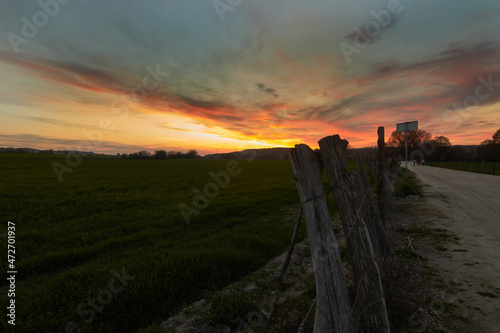 Golden sunset over a green field