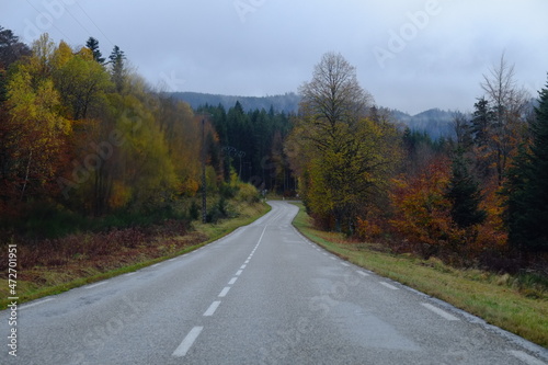 A road in the middle of the forest in autumn. Vosges, France, October 2021.