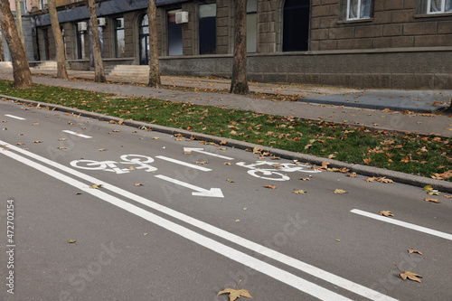 Wallpaper Mural Two way bicycle lane with white signs on asphalt Torontodigital.ca