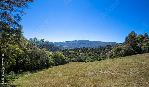 Rural landscape in southern Brazil.