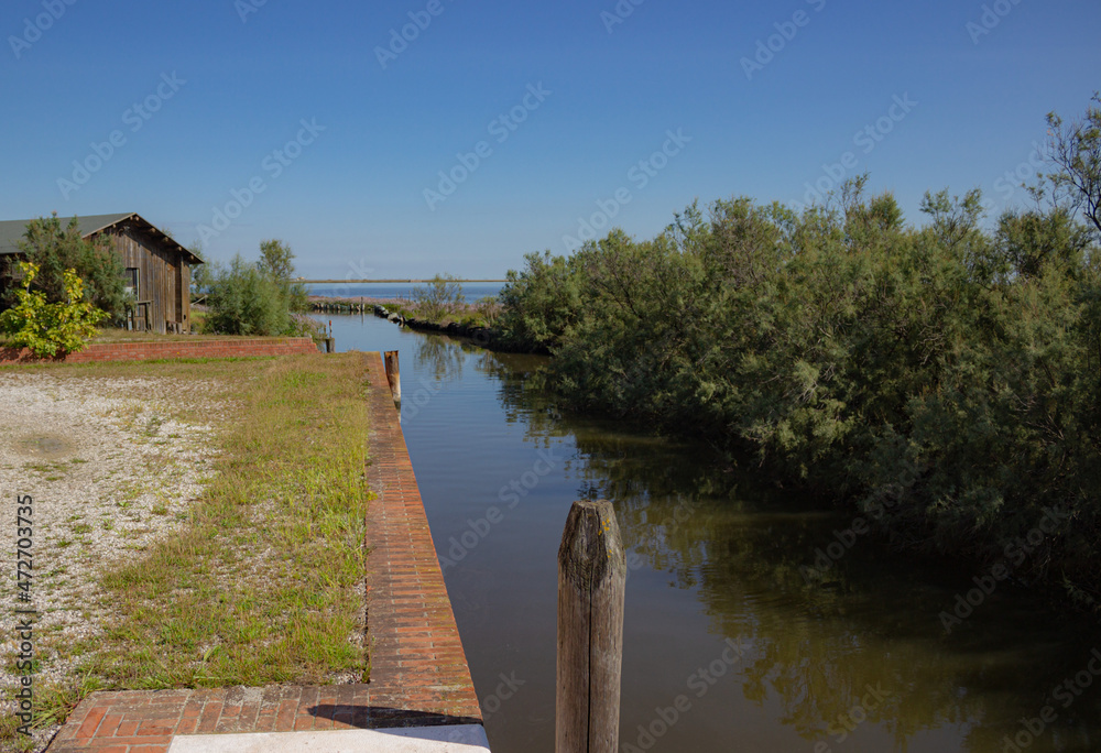 Obraz premium Landscape of the Venetian lagoon. View on a canal with bricole and the red brick wall, bushes and a wooden shed. Millecampi Valley, Italy.