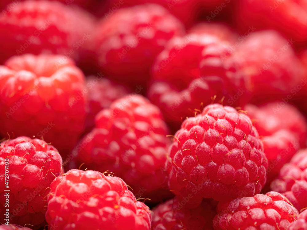 Fresh ripe red raspberries background close-up. Healthy organic food, summer vitamins, BIO viands, natural background. Copy space for your advertising text message. Fresh ripe red raspberries background close-up. Healthy organic food, summer vitamins, BIO viands, natural background. Copy space for your advertising text message.