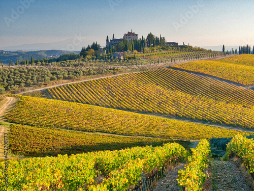 Italy, Tuscany, Chianti. Vineyard near Radda in Chianti in the fall.
