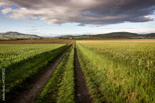 chemin de terre à la campagne dans le Puy de Dôme à l'aube