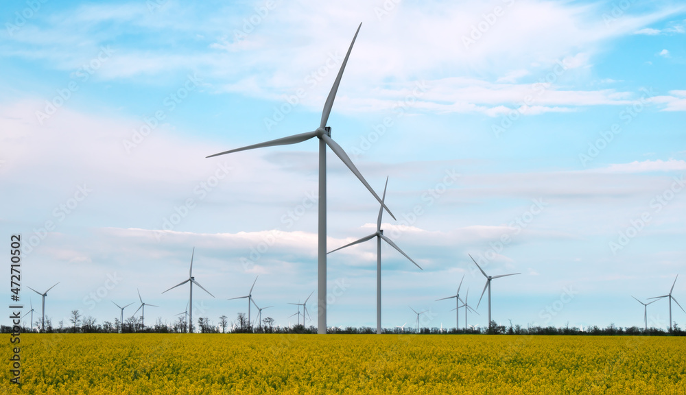 Blooming yellow canola field with wind turbines in the background in the countryside Blooming yellow canola field with wind turbines in the background in the countryside