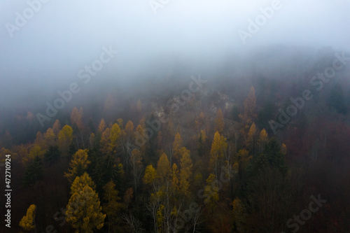 Landscape of colorful autumn trees in the fog in the morning