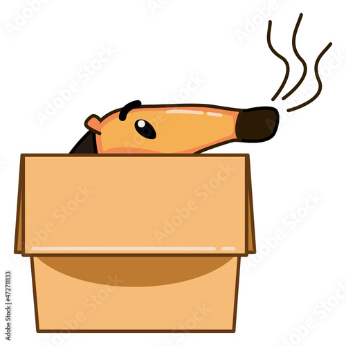 Sticking out long animal nose in cardboard box on a white background. Stock illustration of a hiding hedgehog in a parcel. The concept of avoiding problems, quarantine, self-isolation, panic attack.