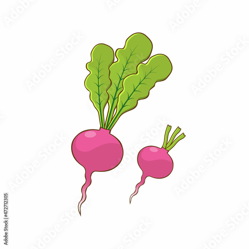 Obraz na płótnie Radish, vegetables, on a white background. Radish root crops without leaves. Close up isolated on white background. w salonie