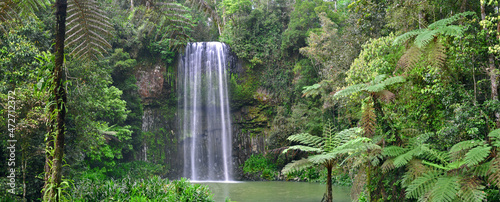 Millaa Wasserfall photo