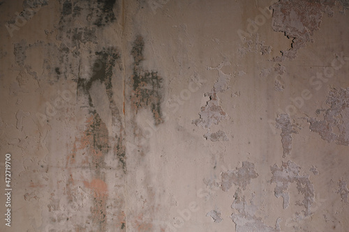 Wallpaper Mural Texture of old gray plaster. Torontodigital.ca