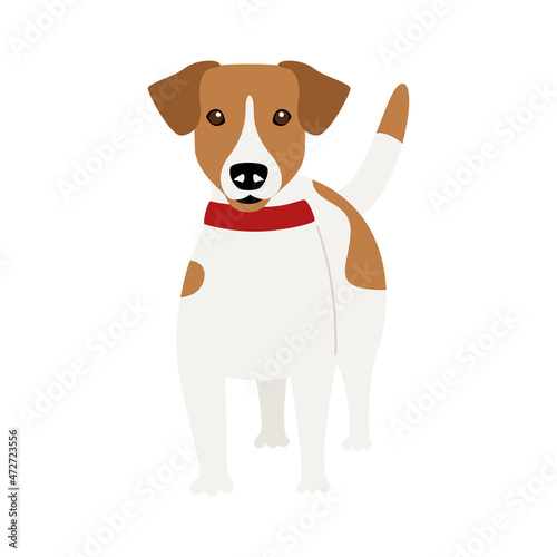 Purebred Jack Russell Terrier dog. Vector illustration of a cute character