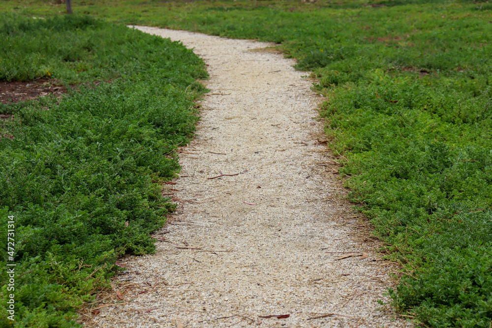 gravel path through the field