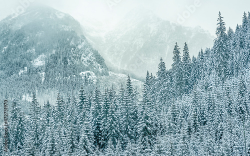 View of the nearby mountains follows the road to the Sea Eye in winter, Zakopane