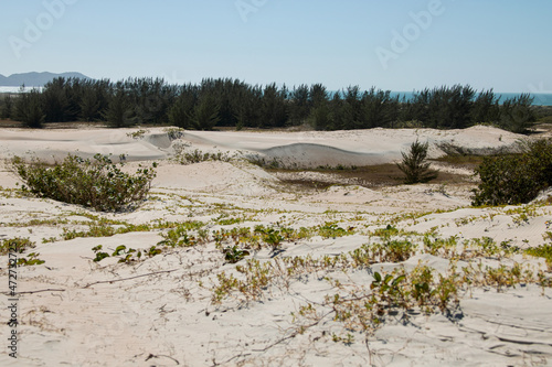 Paisagem dunas e mar